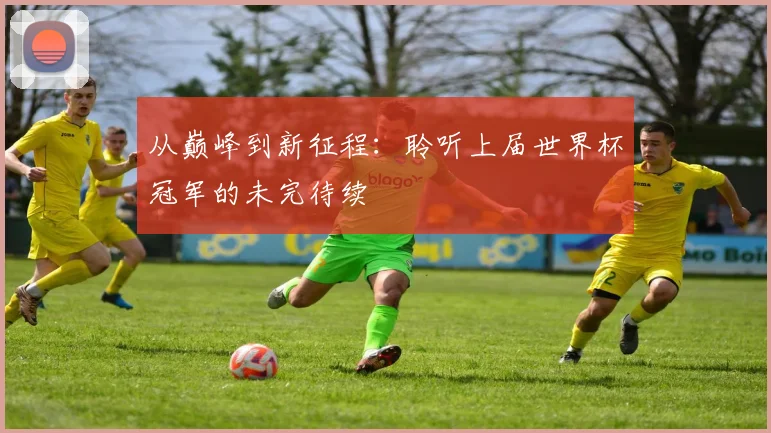 从巅峰到新征程：聆听上届世界杯冠军的未完待续